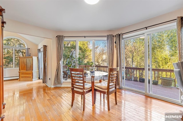 dining area featuring light hardwood / wood-style floors, a baseboard radiator, and plenty of natural light