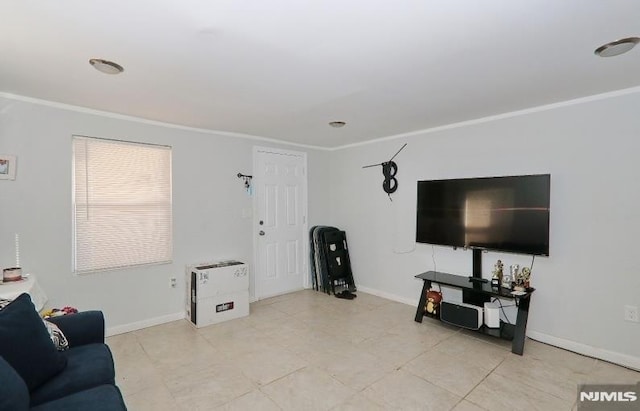 living room with ornamental molding