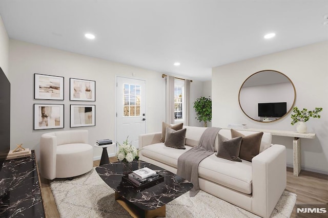 living room featuring hardwood / wood-style flooring