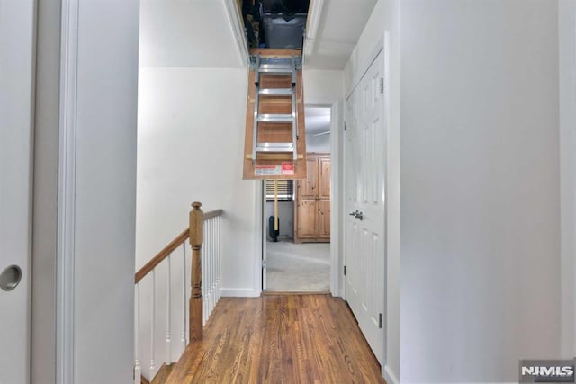 corridor featuring wood-type flooring