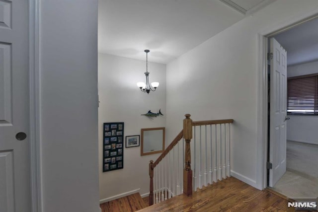 staircase with hardwood / wood-style floors