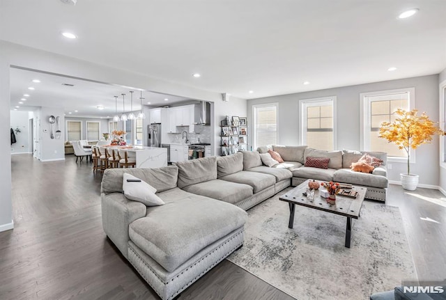 living room featuring dark hardwood / wood-style floors and sink