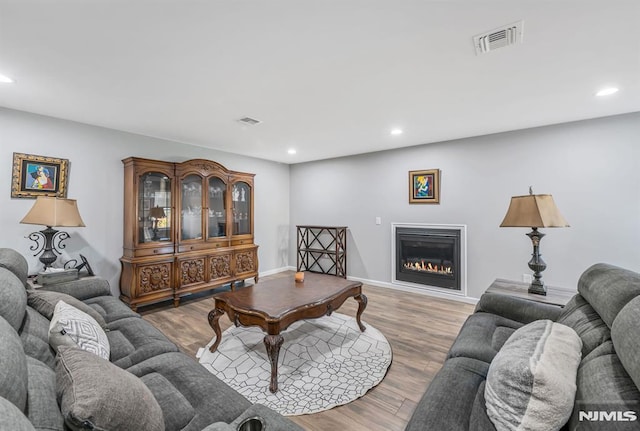 living room featuring hardwood / wood-style flooring