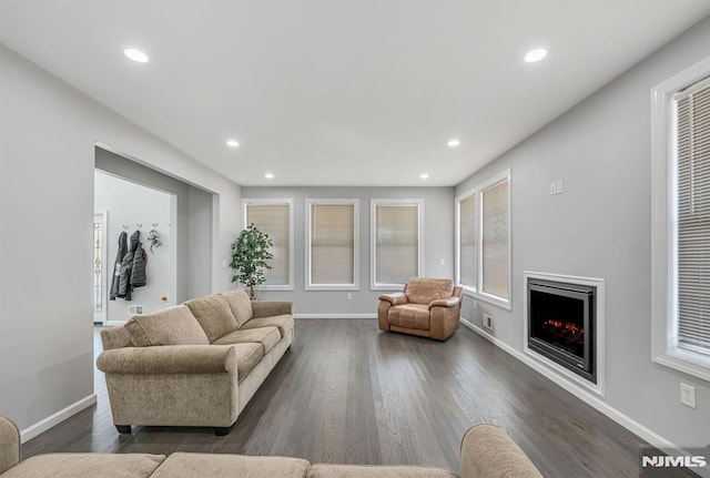 living room with dark hardwood / wood-style floors