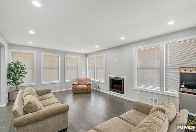 living room featuring dark hardwood / wood-style flooring