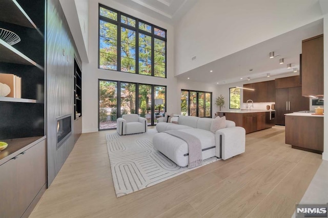 living room featuring a high ceiling, light hardwood / wood-style flooring, and sink