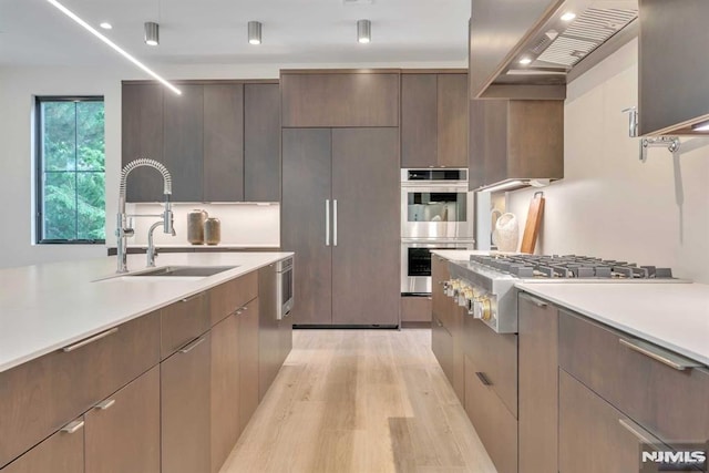 kitchen with light hardwood / wood-style floors, wall chimney range hood, sink, and appliances with stainless steel finishes