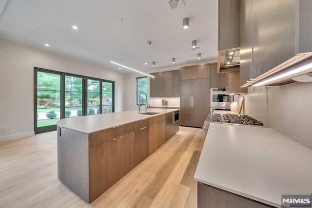 kitchen with light wood-type flooring, stainless steel appliances, sink, pendant lighting, and an island with sink