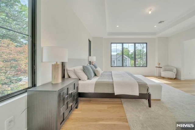 bedroom with a tray ceiling and light hardwood / wood-style floors