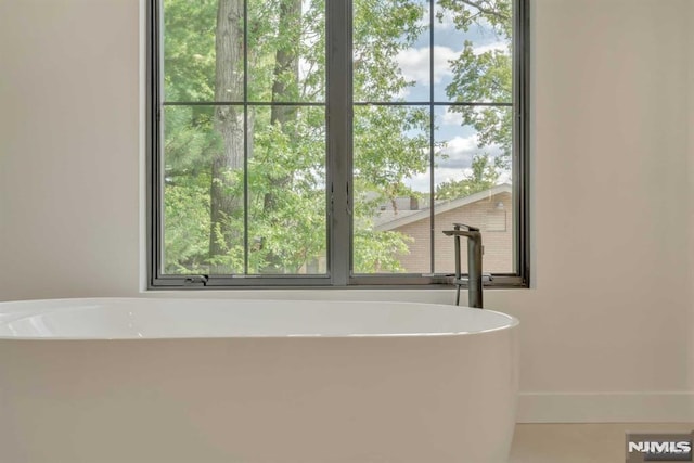 bathroom featuring a washtub and plenty of natural light