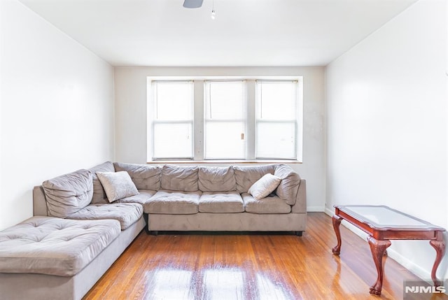 living room featuring ceiling fan and wood-type flooring