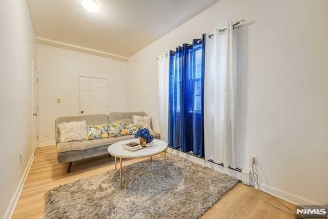 sitting room featuring hardwood / wood-style floors