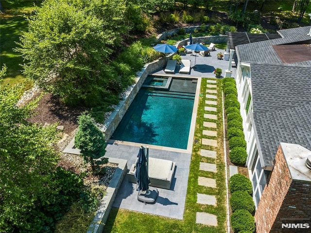 view of pool with a patio area