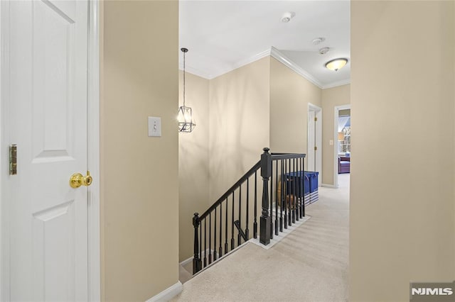 stairs with carpet floors and ornamental molding