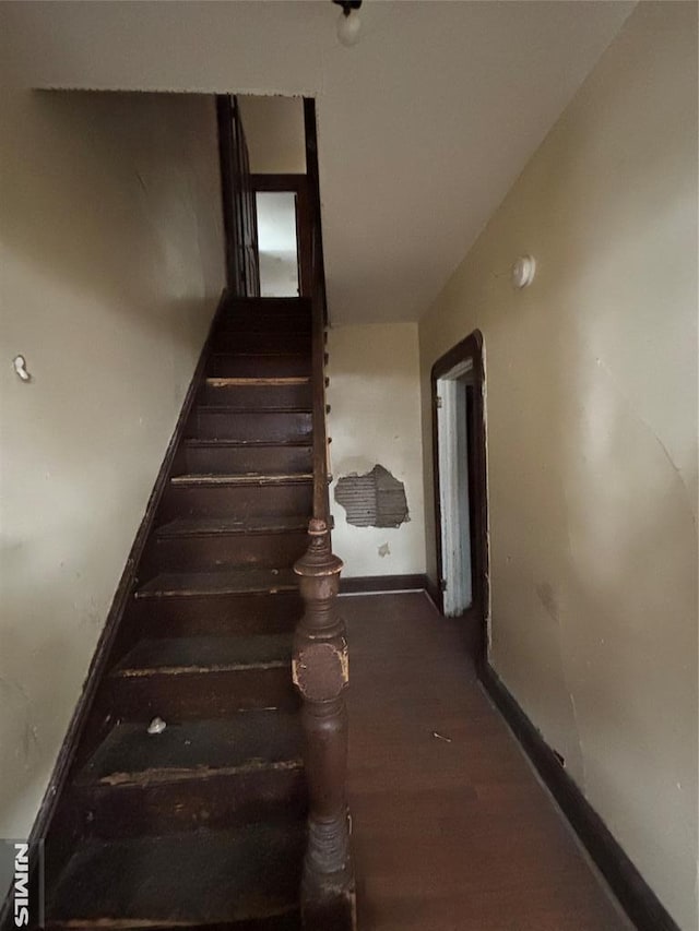 stairway with hardwood / wood-style floors