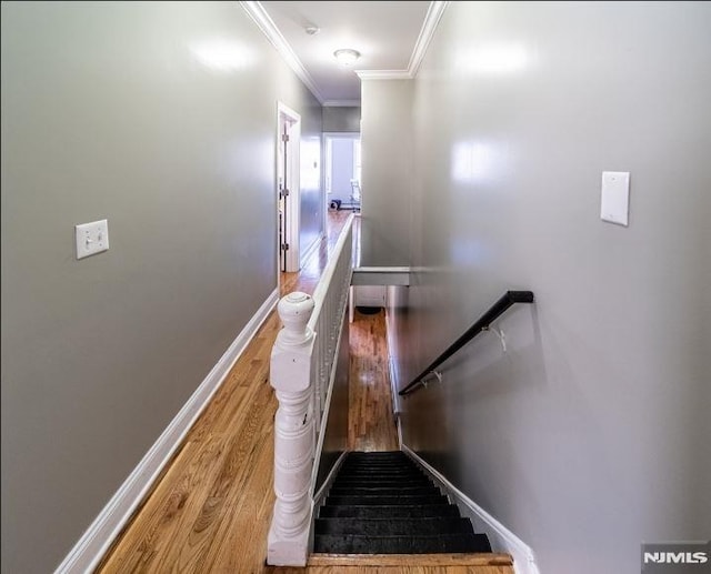 stairway with hardwood / wood-style flooring and crown molding