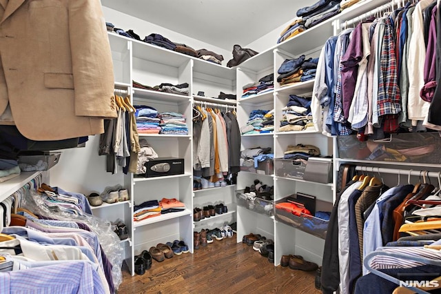 spacious closet featuring wood-type flooring