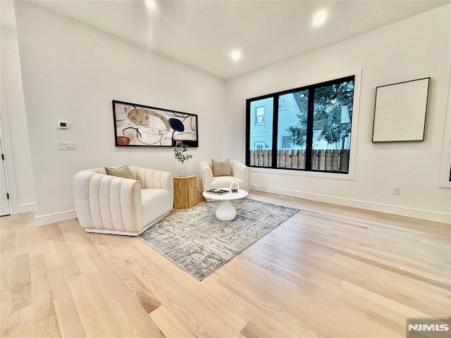 living room with light wood-type flooring