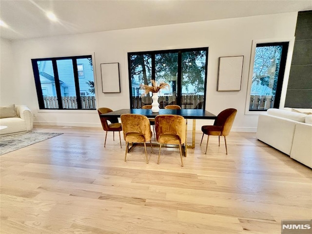 dining room featuring light wood-type flooring