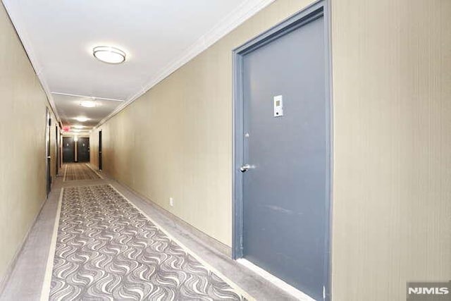 hallway featuring ornamental molding