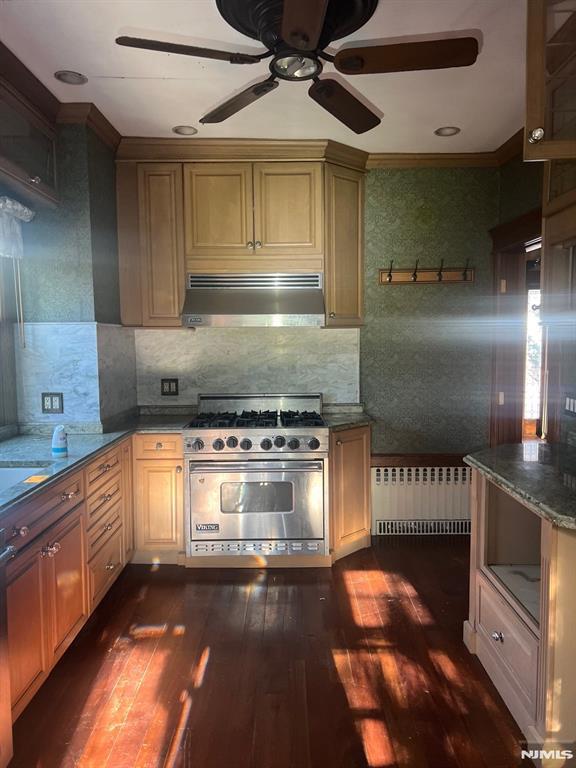 kitchen featuring radiator, decorative backsplash, designer range, and dark hardwood / wood-style floors