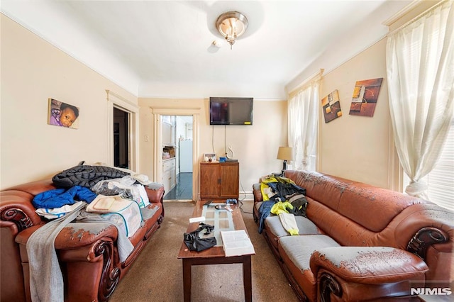 living room with a wealth of natural light and carpet