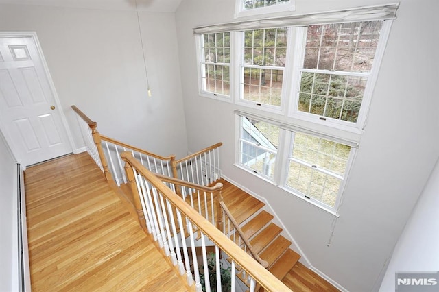 staircase with wood-type flooring