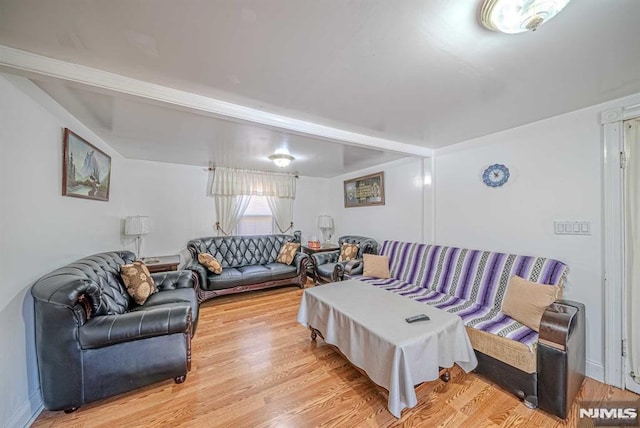 living room featuring light hardwood / wood-style floors