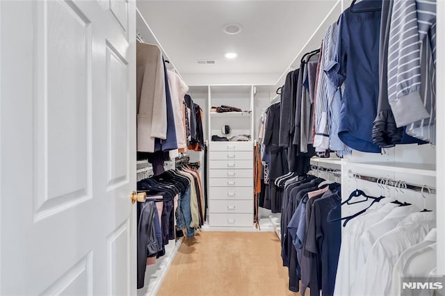 spacious closet with light carpet