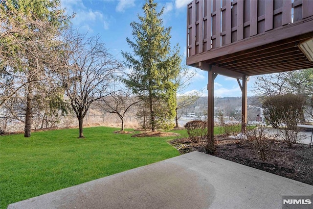 view of yard with a patio