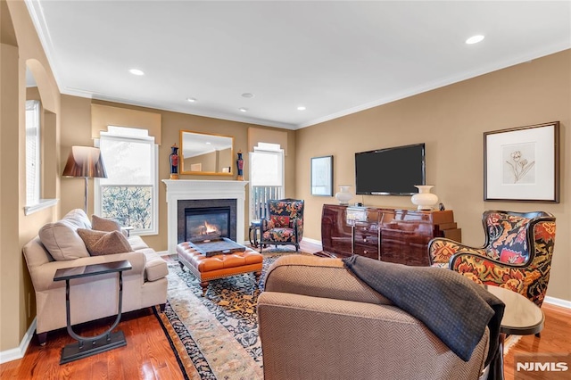 living room with crown molding and wood-type flooring