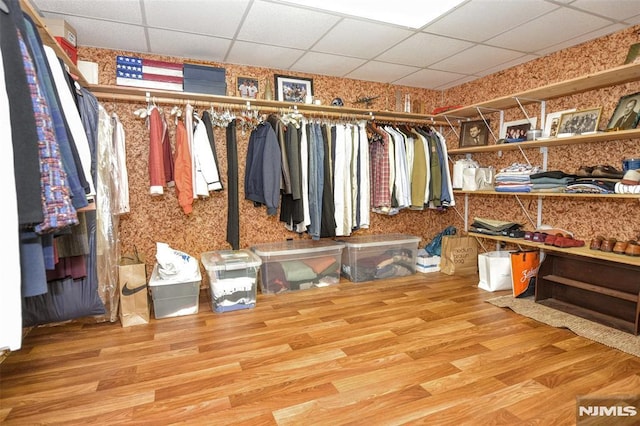 walk in closet with a drop ceiling and wood-type flooring