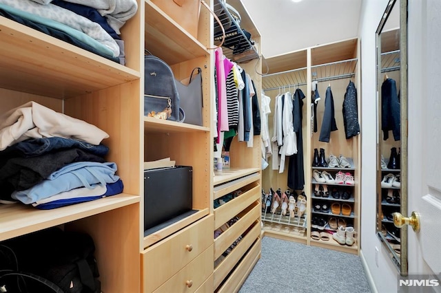 spacious closet featuring carpet floors