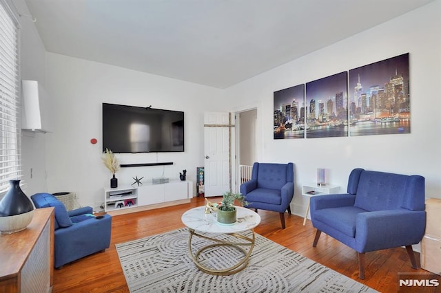 living room with hardwood / wood-style flooring