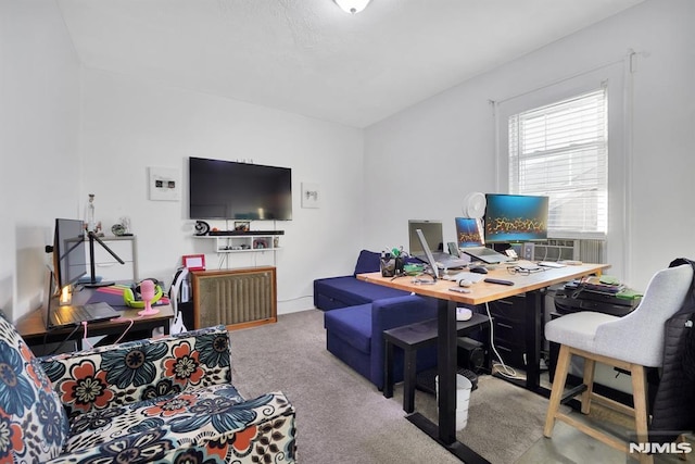 view of carpeted home office