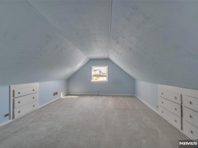 additional living space with lofted ceiling and light carpet