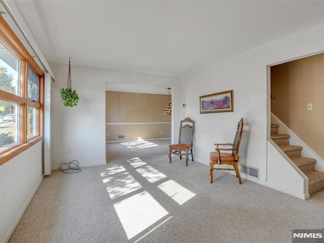 living area featuring carpet flooring