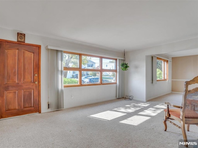 unfurnished room featuring a healthy amount of sunlight and light colored carpet