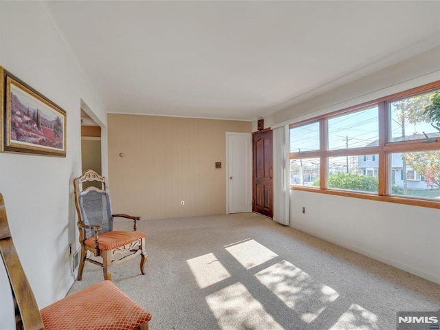 living area with light colored carpet