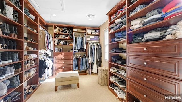 walk in closet with light carpet