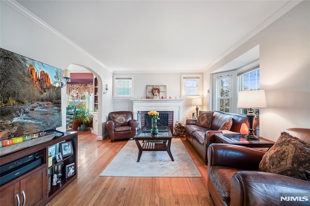 living room with a fireplace, light wood-type flooring, ornamental molding, and plenty of natural light