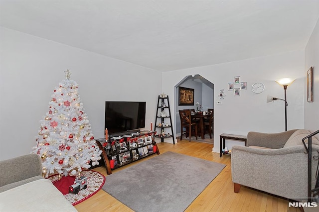 living room featuring hardwood / wood-style floors