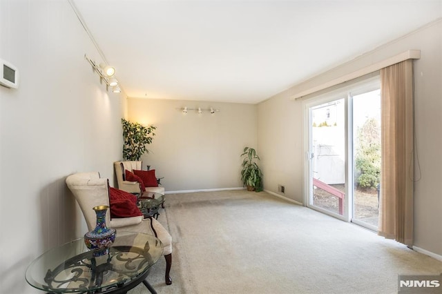 sitting room featuring carpet floors