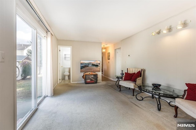 sitting room with light carpet