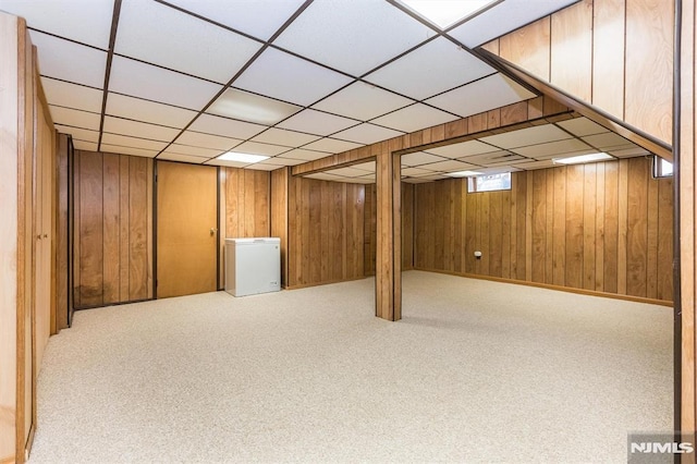 basement with fridge