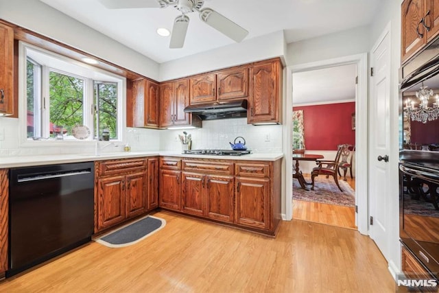 kitchen featuring light hardwood / wood-style floors, backsplash, ceiling fan with notable chandelier, black dishwasher, and sink