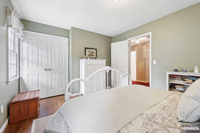 bedroom featuring a closet and hardwood / wood-style flooring