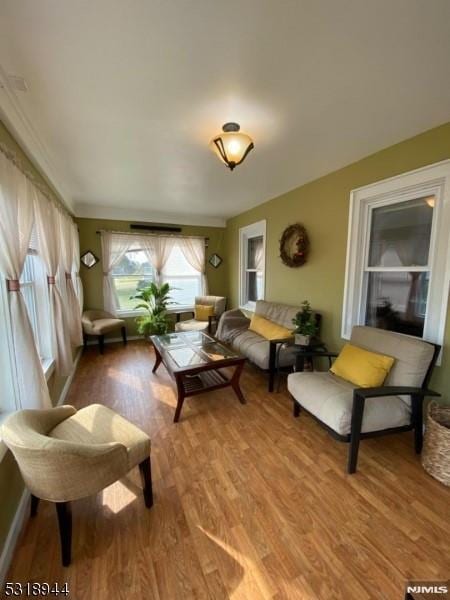 living room with wood-type flooring