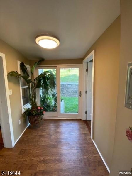 entryway with dark hardwood / wood-style flooring