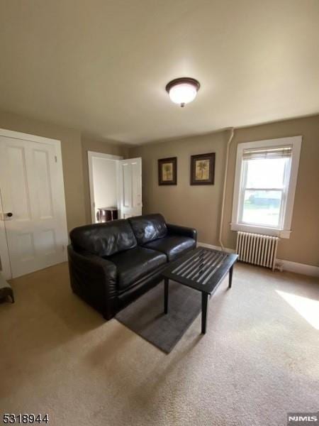 carpeted living room featuring radiator heating unit